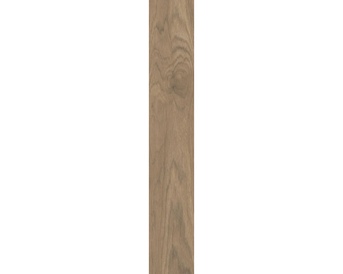 Structura lemnului unei plăci laminate