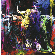 Tablou pictat manual Colourful Bull Head 40x40 cm
