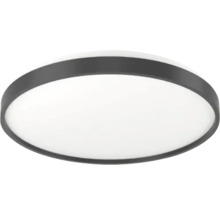 Lumină de plafon rotundă
