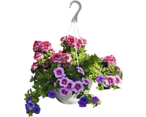 Jardinieră suspendată cu petunii și verbină