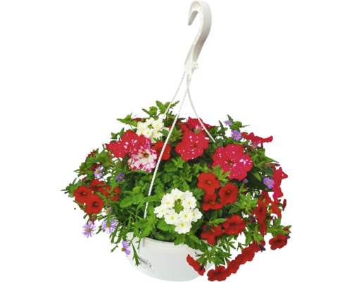 Coș suspendat cu flori roșii și albe