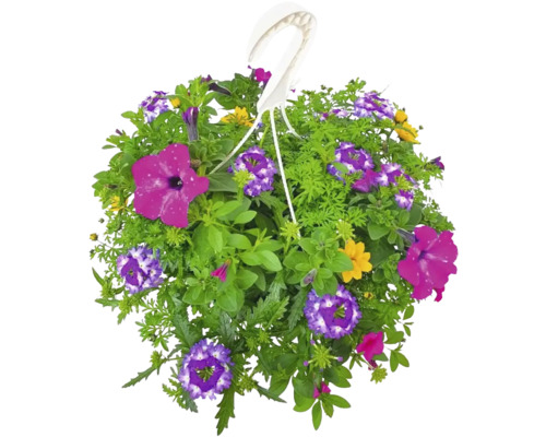 Coș suspendat cu diverse flori și frunze verzi