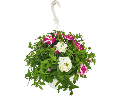 Coș suspendat cu flori de vară amestecate