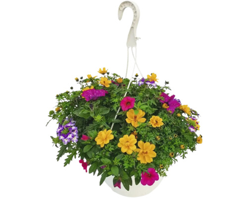 Coș suspendat cu flori de vară colorate