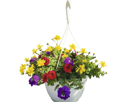 Coș suspendat cu flori galbene, roșii și violet
