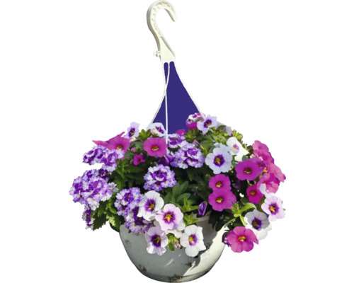 Coș suspendat cu flori colorate