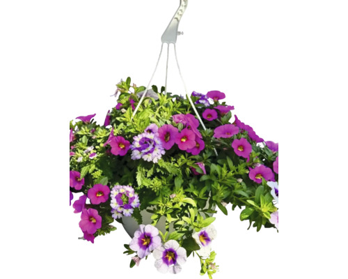 Coș suspendat cu petunii colorate pentru exterior