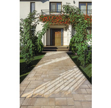 Cărămidă pavată către o casă cu arcadă de plante și jardiniere