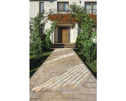 Cărămidă pavată către o casă cu arcadă de plante și jardiniere