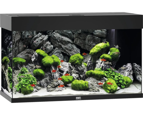 Acvariul JUWEL Rio 125 iluminare cu LED, pompă, filtru, încălzitor, fără dulap inferior, negru Acvariul JUWEL Rio 125 iluminare cu LED, pompă, filtru, încălzitor, fără dulap inferior, negru