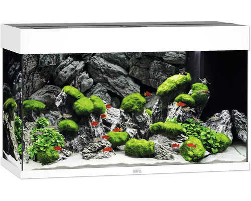 Acvariul JUWEL Rio 125 iluminare cu LED, pompă, filtru, încălzitor, fără dulap inferior, alb Acvariul JUWEL Rio 125 iluminare cu LED, pompă, filtru, încălzitor, fără dulap inferior, alb