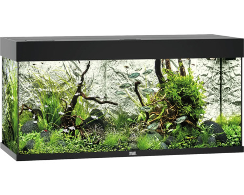Acvariul JUWEL Rio 180 iluminare cu LED, pompă, filtru, încălzitor, fără dulap inferior, negru Acvariul JUWEL Rio 180 iluminare cu LED, pompă, filtru, încălzitor, fără dulap inferior, negru