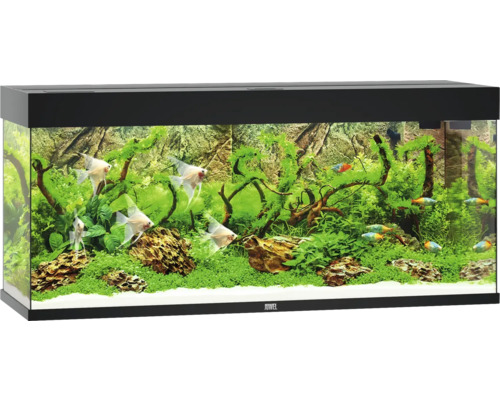 Acvariul JUWEL Rio 240 iluminare cu LED, pompă, filtru, încălzitor, fără dulap inferior, negru Acvariul JUWEL Rio 240 iluminare cu LED, pompă, filtru, încălzitor, fără dulap inferior, negru