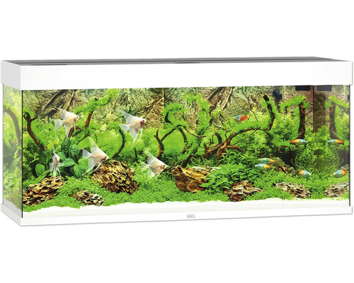 Acvariul JUWEL Rio 240 iluminare cu LED, pompă, filtru, încălzitor, fără dulap inferior, alb Acvariul JUWEL Rio 240 iluminare cu LED, pompă, filtru, încălzitor, fără dulap inferior, alb
