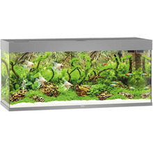 Acvariu Juwel Rio 240 cu iluminare LED, pompă, filtru, încălzitor, fără dulap inferior gri