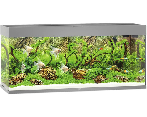 Acvariu Juwel Rio 240 cu iluminare LED, pompă, filtru, încălzitor, fără dulap inferior gri Acvariu Juwel Rio 240 cu iluminare LED, pompă, filtru, încălzitor, fără dulap inferior gri
