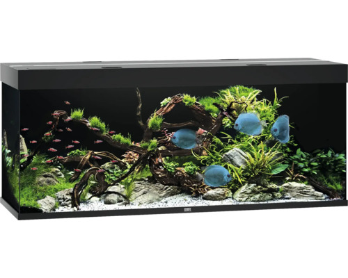 Acvariul JUWEL Rio 450 iluminare cu LED, pompă, filtru, încălzitor, fără dulap inferior, negru Acvariul JUWEL Rio 450 iluminare cu LED, pompă, filtru, încălzitor, fără dulap inferior, negru