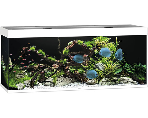 Acvariul JUWEL Rio 450 iluminare cu LED, pompă, filtru, încălzitor, fără dulap inferior, alb Acvariul JUWEL Rio 450 iluminare cu LED, pompă, filtru, încălzitor, fără dulap inferior, alb