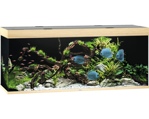 Acvariul JUWEL Rio 450 cu iluminare cu LED, pompă, filtru, încălzitor, fără dulap inferior, lemn de culoare deschisă Acvariul JUWEL Rio 450 cu iluminare cu LED, pompă, filtru, încălzitor, fără dulap inferior, lemn de culoare deschisă