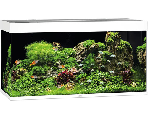 Acvariul JUWEL Rio 350 iluminare cu LED, pompă, filtru, încălzitor, fără dulap inferior, alb