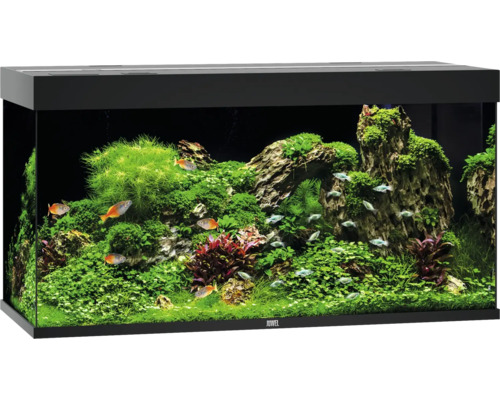 Acvariul JUWEL Rio 350 iluminare cu LED, pompă, filtru, încălzitor, fără dulap inferior, negru Acvariul JUWEL Rio 350 iluminare cu LED, pompă, filtru, încălzitor, fără dulap inferior, negru