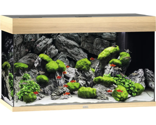 Acvariul JUWEL Rio 180 cu iluminare cu LED, pompă, filtru, încălzitor, fără dulap inferior, lemn de culoare deschisă Acvariul JUWEL Rio 180 cu iluminare cu LED, pompă, filtru, încălzitor, fără dulap inferior, lemn de culoare deschisă