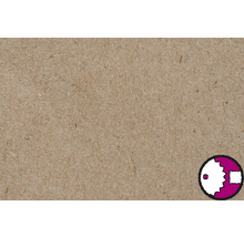 Placă PFL brut 2745x1700x3 mm-thumb-1