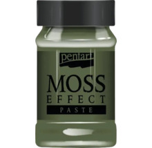 Pastă cu efect de mușchi Pentart în borcan
