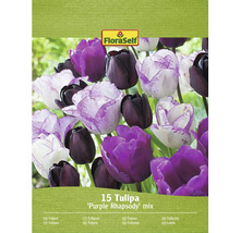 Amestec de lalele FloraSelf Purple Rhapsody, pachet de 15 bucăți
