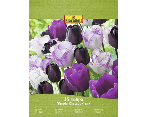 Amestec de lalele FloraSelf Purple Rhapsody, pachet de 15 bucăți