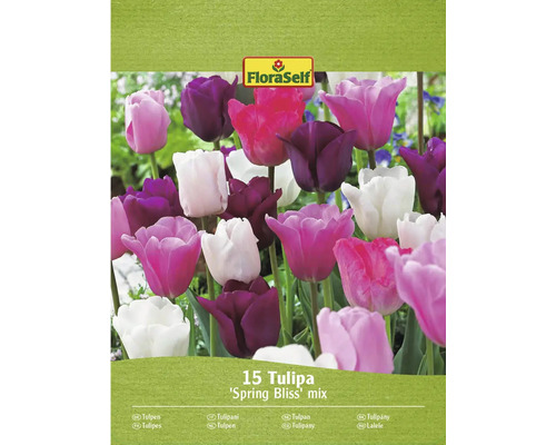 FloraSelf Lalele Spring Bliss Mix, pachet cu 15 bucăți