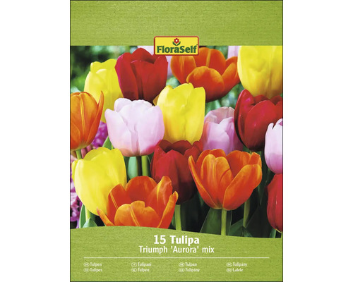 Pachet de lalele Triumph Aurora Mix cu 15 bucăți