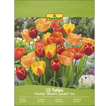 Ambalaj FloraSelf 15 Tulipa Triumph ''Grădina lui Monet'' mix