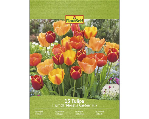 Ambalaj FloraSelf 15 Tulipa Triumph ''Grădina lui Monet'' mix