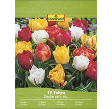 FloraSelf Lalele Double Early Mix, pachet cu douăsprezece bulbi