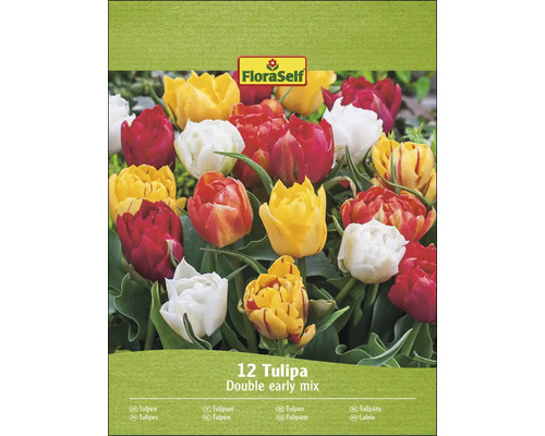 FloraSelf Lalele Double Early Mix, pachet cu douăsprezece bulbi