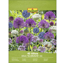 Pachet FloraSelf 40 Allium Bee and Butterfly mix