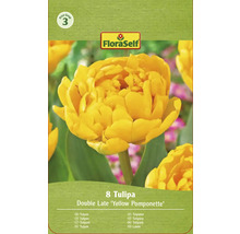 Ambalaj bulbi de lalele, soiul Double Late Yellow Pomponette, marca FloraSelf