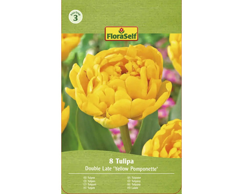 Ambalaj bulbi de lalele, soiul Double Late Yellow Pomponette, marca FloraSelf