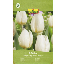 Pachet FloraSelf cu 8 lalele din soiul Single early White Prince