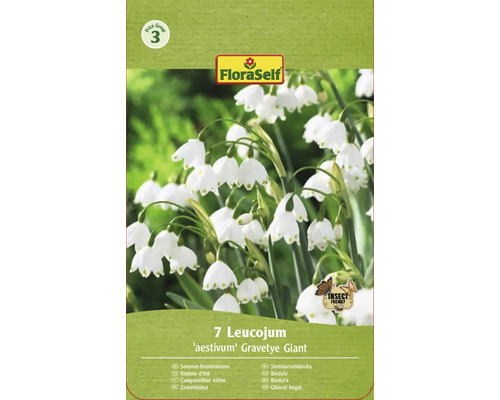 Bulbi de flori FloraSelf Ghiocei de vară aestivum Gravetye Giant 7 buc. Pachet cu șapte ghiocei bogați de vară, varietatea Gravetye Giant, de la FloraSelf