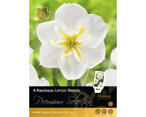 Pachet cu patru bulbi de Narcissus Lemon Beauty