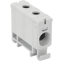 Bornă pentru conexiune electrică