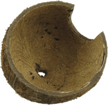 Jumătate de coajă de nucă de cocos