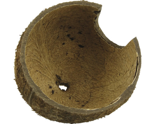 Jumătate de coajă de nucă de cocos