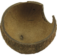 Jumătate de nucă de cocos