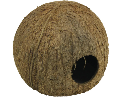 Décor acvariu JBL Cocos Cava 3/4 L