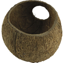 Carcasă de nucă de cocos cu deschidere