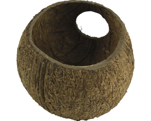 Carcasă de nucă de cocos cu deschidere