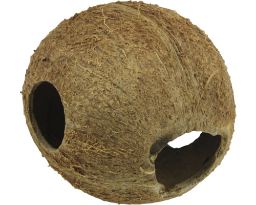 Decor acvariu JBL Cocos Cava 1/1 M